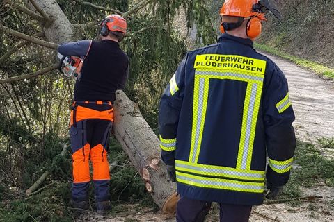 Beseitigung umgestürtzter Bäume