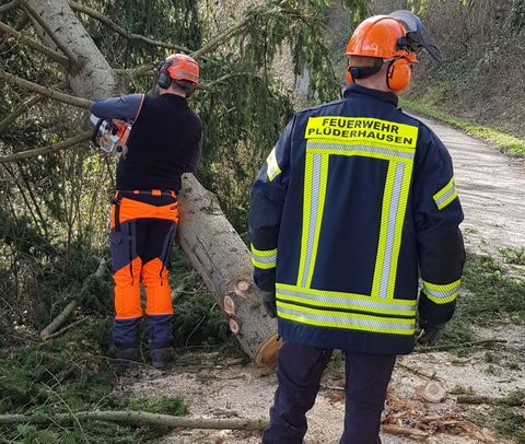 Beseitigung umgestürtzter Bäume